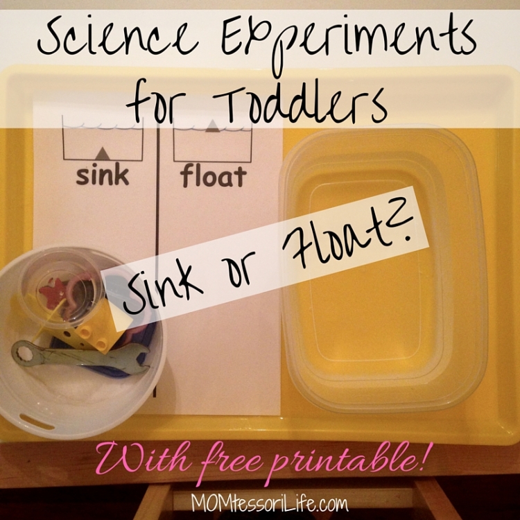 Science Experiments For Toddlers Sink Or Float With Free